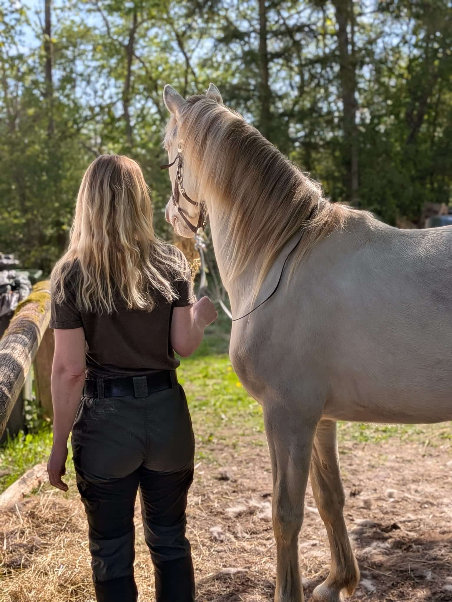Hest der bevæger sig frit i terrænet